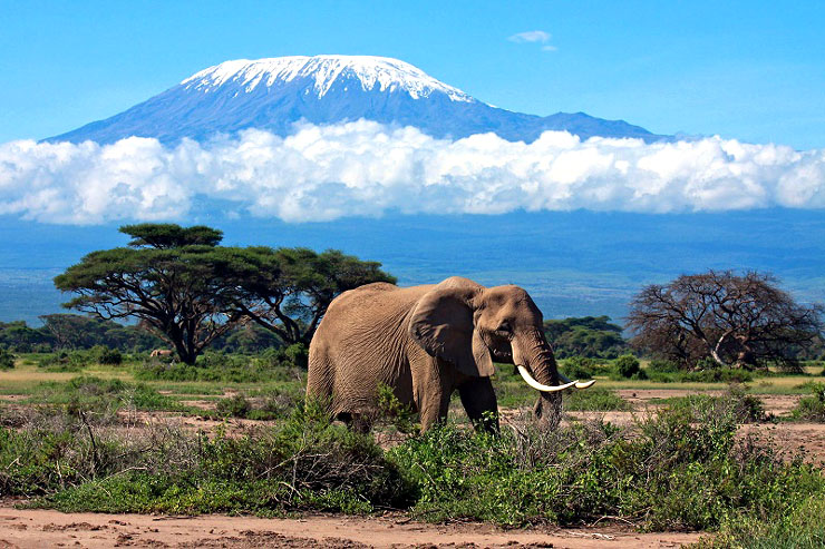 Mount Kilimanjaro Climbing